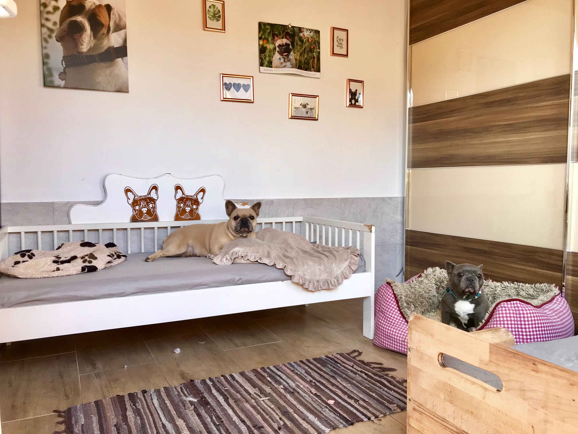 Pension Wunderhund - DIE PENSION